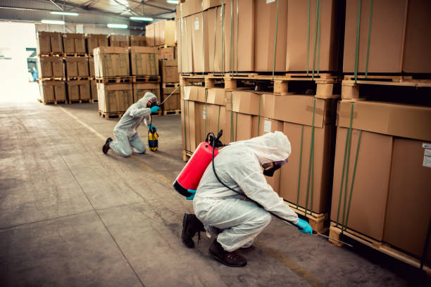 Best Pest Control Near Me  in Moonachie, NJ