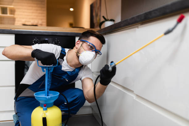 Best Pest Removal Services  in Moonachie, NJ