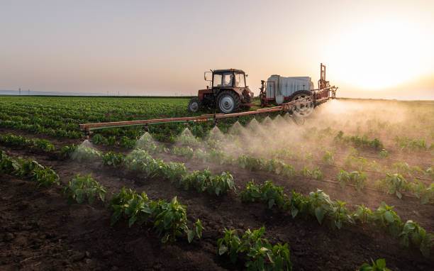 Best Commercial Pest Control Services  in Moonachie, NJ