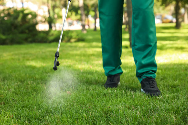 Best Flea Control Services  in Moonachie, NJ