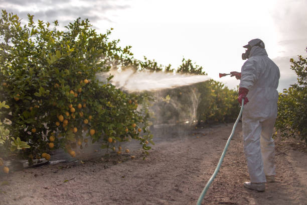 Best Exterminator Services  in Moonachie, NJ
