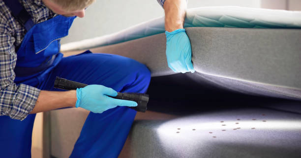 Best Best Pest Control Companies  in Moonachie, NJ