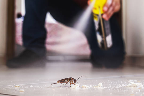 Best Cockroach Control Services  in Moonachie, NJ
